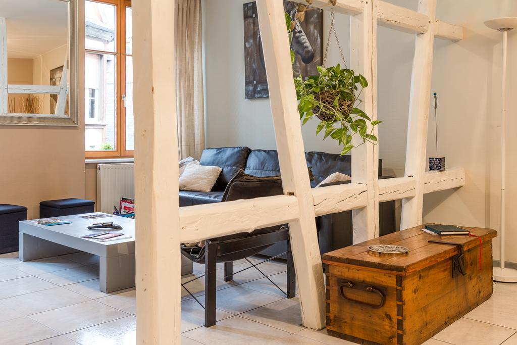 Gite Hyper Centre 10 Pers Colmar Rum bild