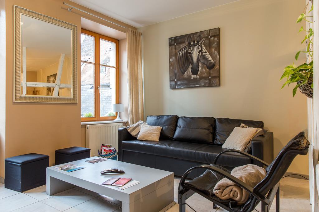 Gite Hyper Centre 10 Pers Colmar Rum bild